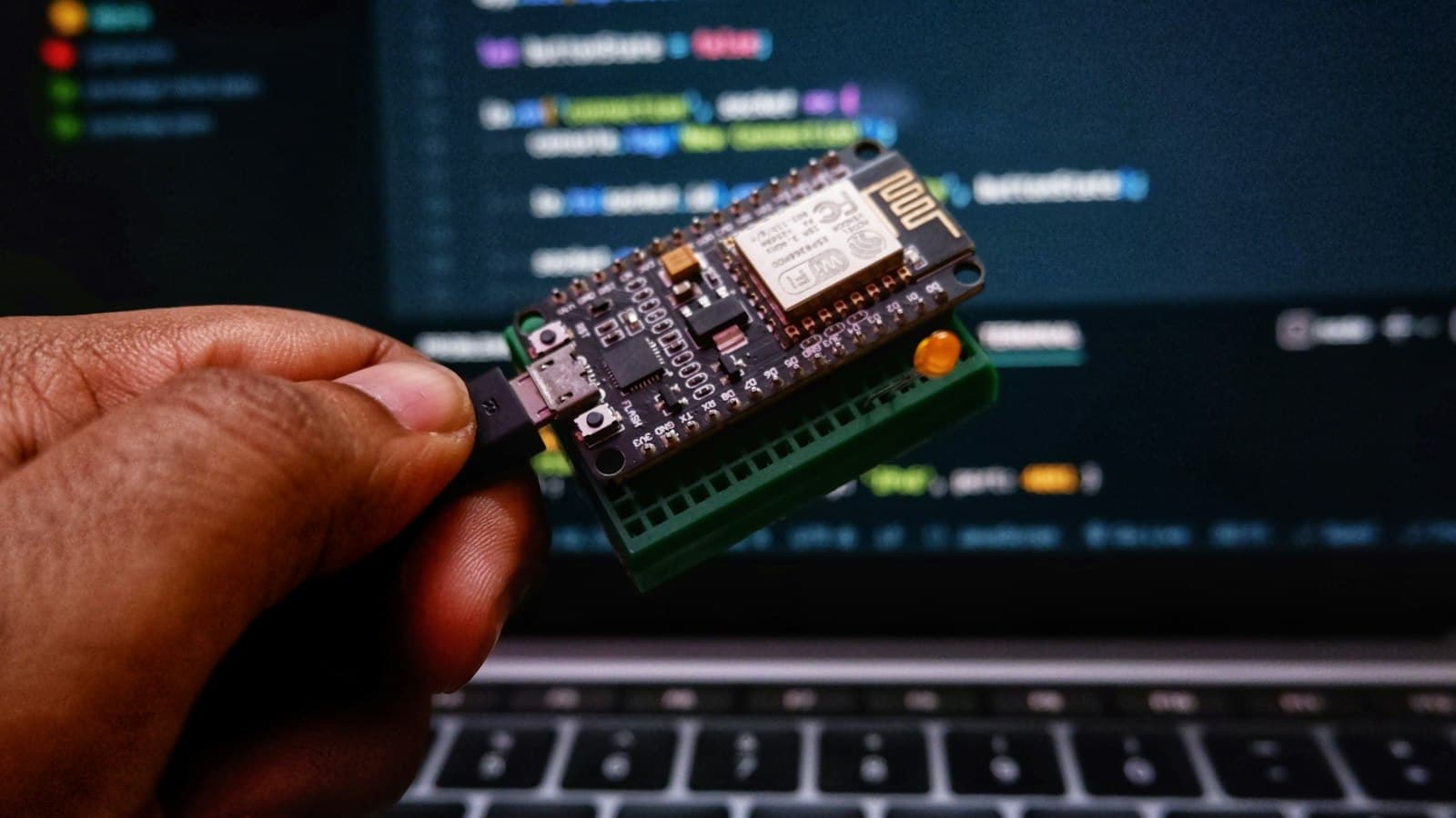 Hand holding a small circuit board